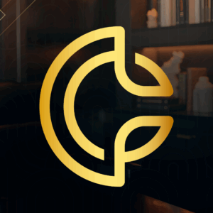 Desafio Terapeuta no Digital - VIP